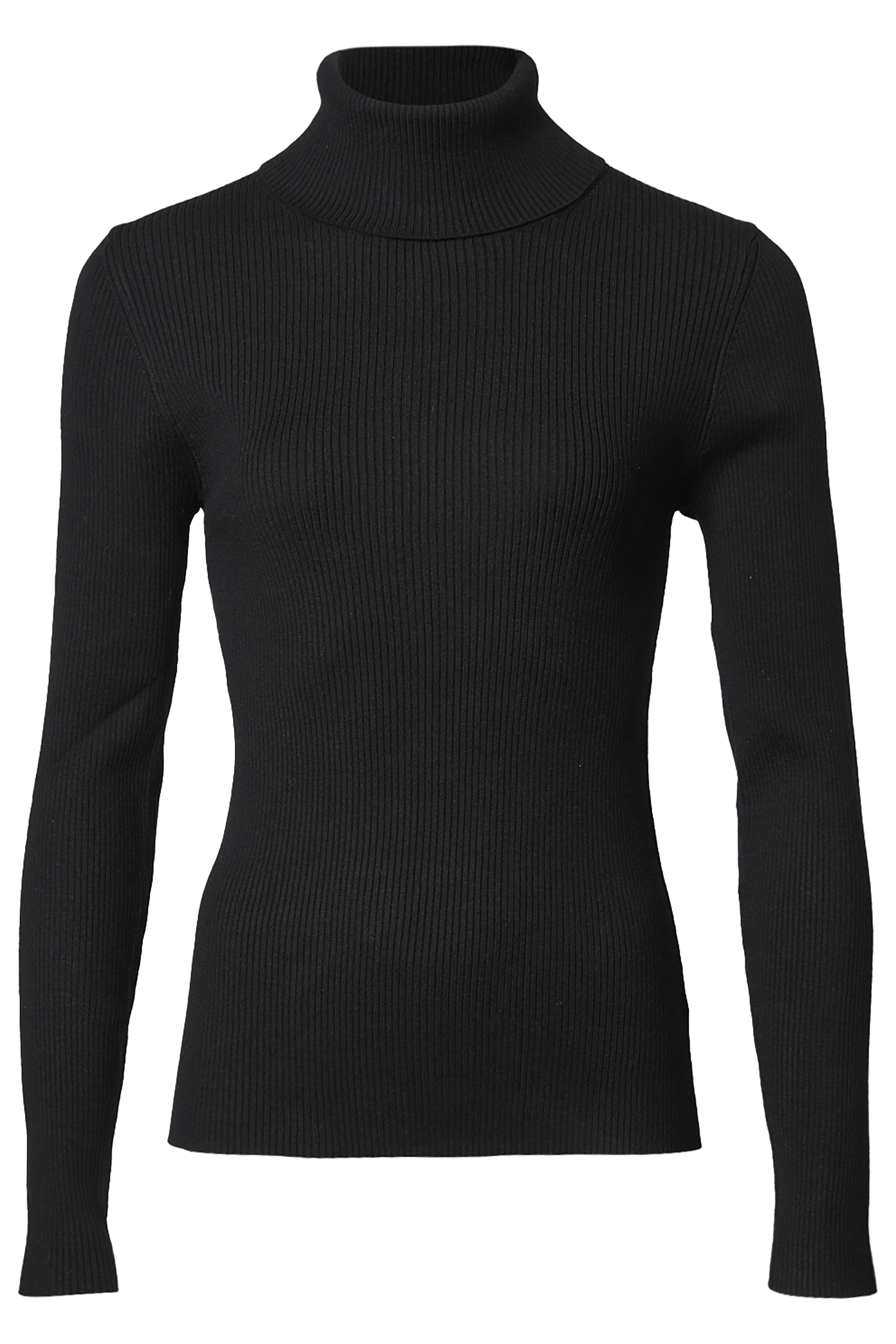 Fitted Turtleneck Sweater